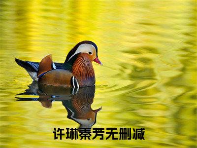 许琳秦芳全文阅读 许琳秦芳小说最新章节