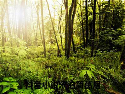 宋泊简葛烟小说(宋泊简葛烟)免费阅读无弹窗，小说名字是：宋泊简葛烟的小说在线阅读无删减