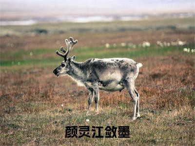 颜灵江敛墨小说（颜灵江敛墨）全文免费阅读结局-颜灵江敛墨全文完结版阅读