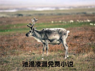 池渔凌渊（池渔凌渊）抖音热推小说全集无删减_池渔凌渊最新章节列表_笔趣阁