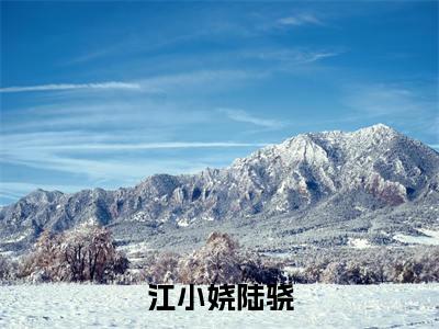 江小娆陆骁老书虫推荐小说 江小娆陆骁热门小说最新章节阅读