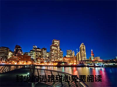 司徒嫤儿封凌浩最新热门榜单小说-封少的逃跑甜心全文无弹窗免费阅读大结局