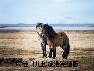 封少的逃跑甜心小说全文免费阅读_（封少的逃跑甜心）司徒嫤儿封凌浩最新章节列表笔趣阁