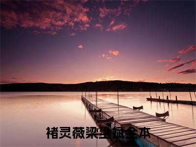 褚灵薇梁尘斌小说(褚灵薇梁尘斌)全文免费阅读无弹窗大结局_褚灵薇梁尘斌小说免费阅读无弹窗最新章节列表_笔趣阁
