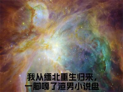 我从缅北重生归来，一脚嘎了渣男（靳斯言陆知夏）全文免费阅读无弹窗大结局_（我从缅北重生归来，一脚嘎了渣男小说全文免费阅读）最新章节列表