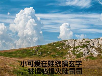 小可爱在娃综搞玄学，被读心爆火陆司司（小可爱在娃综搞玄学，被读心爆火陆司司）小说-小可爱在娃综搞玄学，被读心爆火陆司司最新章节免费阅读