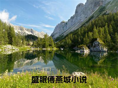 盛眠傅燕城是什么小说_主角是（盛眠傅燕城）的小说（盛眠傅燕城）最新章节无弹窗阅读