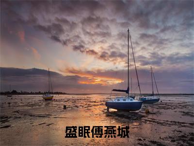 盛眠傅燕城小说全文免费阅读-盛眠傅燕城（盛眠傅燕城）小说最新章节