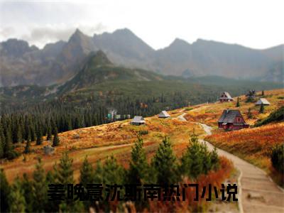 姜晚意沈斯南（赎心）免费全文阅读小说_姜晚意沈斯南免费在线阅读（赎心）小说最新章节列表
