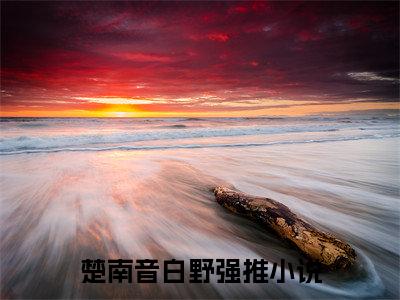 楚南音白野的小说免费阅读（楚南音白野的小说免费阅读）全文完整版免费阅读