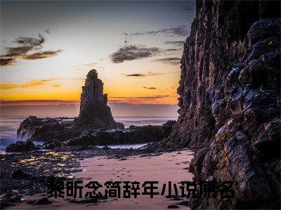 【新书】《黎昕念简辞年》全文免费阅读无弹窗大结局-黎昕念简辞年全文全章节免费阅读