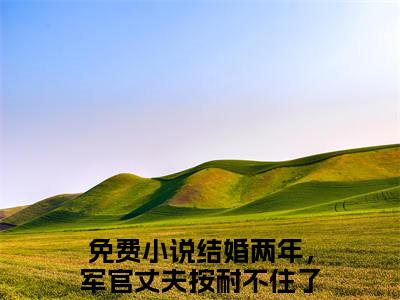 顾北念陆南辰在线阅读（结婚两年，军官丈夫按耐不住了）全文无弹窗大结局_结婚两年，军官丈夫按耐不住了全文在线阅读无弹窗