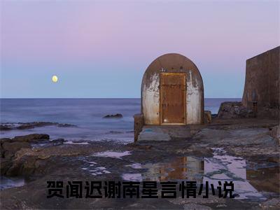 抖音新书热荐小说（贺闻迟谢南星）主角是（贺闻迟谢南星）小说免费阅读小说无弹窗阅读_笔趣阁