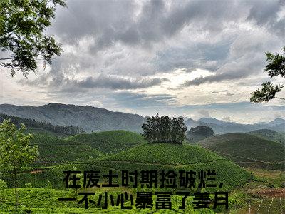 《在废土时期捡破烂，一不小心暴富了姜月墨》全文免费阅读最新章节大结局-在废土时期捡破烂，一不小心暴富了姜月墨无弹窗阅读