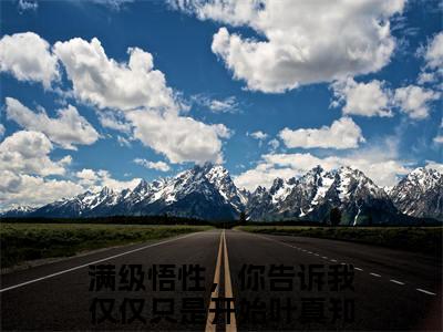 满级悟性，你告诉我仅仅只是开始叶真小说（满级悟性，你告诉我仅仅只是开始叶真）全文免费阅读无弹窗_满级悟性，你告诉我仅仅只是开始叶真高赞小说免费阅读笔趣阁