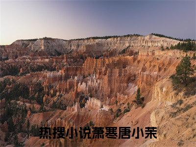 萧寒唐小茉已完结小说全集阅读（萧寒唐小茉完整版大结局）萧寒唐小茉小说全文阅读笔趣阁