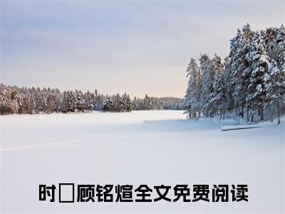 时雲顾铭煊（时雲顾铭煊免费小说）全文免费阅读无弹窗大结局_时雲顾铭煊最新章节列表_笔趣阁（时雲顾铭煊小说）