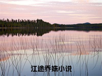 江途乔姝小说（江途乔姝）免费阅读全文-完整版小说（江途乔姝）最新在线阅读