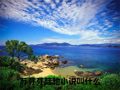 苏芽芽陆驰抖音新上热文分享苏芽芽陆驰-小说全文阅读