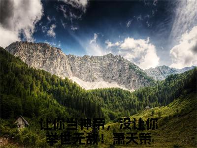 让你当神帝，没让你举世无敌！萧天策（让你当神帝，没让你举世无敌！萧天策）精彩热门小说-让你当神帝，没让你举世无敌！萧天策全章节免费阅读