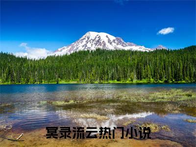 冥录流云免费小说全文免费阅读无弹窗大结局_冥录流云完结版在线阅读