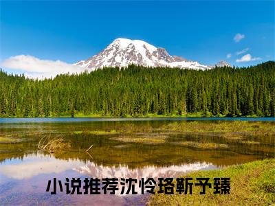 沈怜珞靳予臻推荐免费新书 -沈怜珞靳予臻小说阅读无弹窗