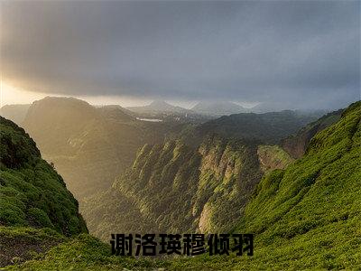 谢洛瑛穆倾羽小说全文阅读-（谢洛瑛穆倾羽）小说全文免费阅读无弹窗大结局