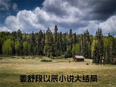 姜舒段以辰小说全文免费阅读无弹窗大结局-捧起星光似你小说在哪里可以看