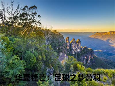 华夏锋芒：足球之梦萧羽（华夏锋芒：足球之梦萧羽）全文免费阅读无弹窗_华夏锋芒：足球之梦萧羽最新小说_笔趣阁（华夏锋芒：足球之梦萧羽）