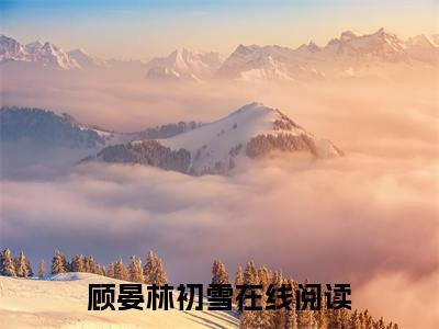 顾晏林初雪（顾晏林初雪）全文在线阅读无弹窗大结局_（顾晏林初雪全文在线阅读无弹窗）顾晏林初雪最新章节列表_笔趣阁（顾晏林初雪）