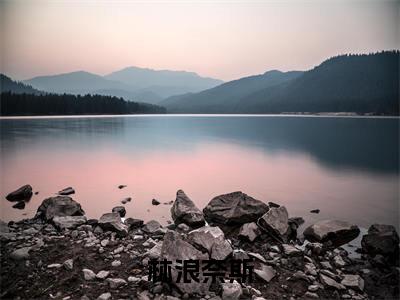 林浪奈斯（完整版）小说推荐-林浪奈斯热文小说重回2000年，我激活了金手指系统免费阅读全文