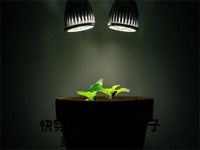 小说快穿：炮灰女配多子多福丹若全文阅读-（快穿：炮灰女配多子多福丹若）小说快穿：炮灰女配多子多福丹若大结局