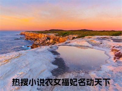 温暖纳兰谨年（农女福妃名动天下）全文免费阅读无弹窗大结局_温暖纳兰谨年（农女福妃名动天下）全文阅读_笔趣阁