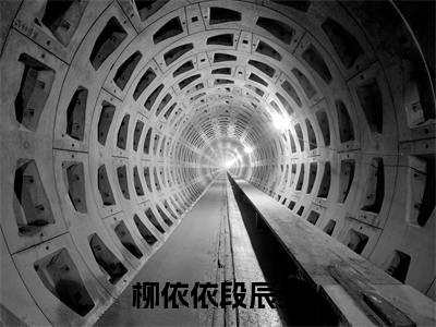 柳依依段辰奕全文免费阅读无弹窗大结局，柳依依段辰奕小说精彩免费试读