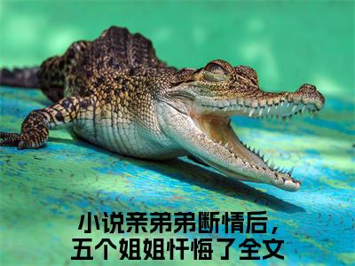 祁天陈芷涵小说免费下载（祁天陈芷涵完整全集已完结大结局小说）_亲弟弟断情后，五个姐姐忏悔了免费阅读笔趣阁