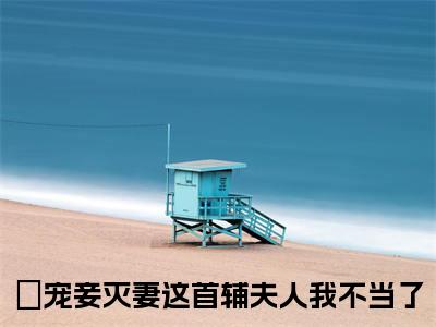 苏青玉云奕霄（宠妾灭妻这首辅夫人我不当了）爽文小说全文阅读-苏青玉云奕霄最新章节更新