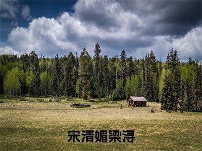 宋清媚梁浔小说（宋清媚梁浔）全文免费阅读无弹窗大结局_宋清媚梁浔最新章节列表_笔趣阁