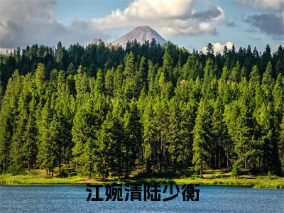江婉清陆少衡老书虫推荐小说 江婉清陆少衡热门小说最新章节阅读