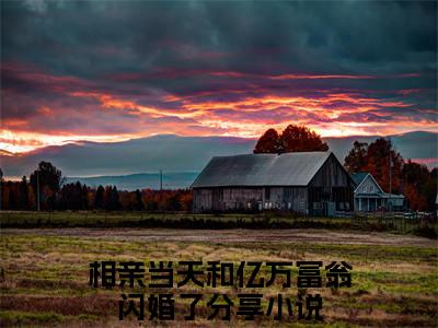 叶旋霍见琛小说（相亲当天和亿万富翁闪婚了）全文免费阅读无弹窗大结局_相亲当天和亿万富翁闪婚了最新章节列表_笔趣阁（叶旋霍见琛）