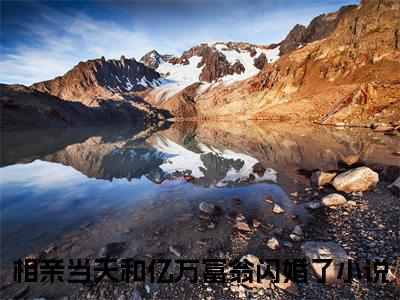 叶旋霍见琛（相亲当天和亿万富翁闪婚了）全文免费阅读无弹窗大结局_（叶旋霍见琛）已完结全集大结局小说