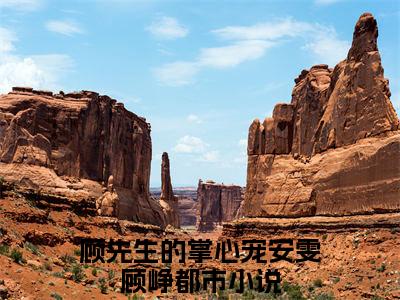 顾先生的掌心宠安雯顾峥全文免费阅读-顾先生的掌心宠安雯顾峥最新章节小说阅读
