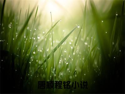 唐颖程铭是的小说-《唐颖程铭》完整章节阅读无弹窗免费阅读大结局