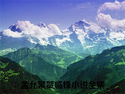 孟允棠贺临锋（孟允棠贺临锋）小说结局-孟允棠贺临锋全文无弹窗阅读
