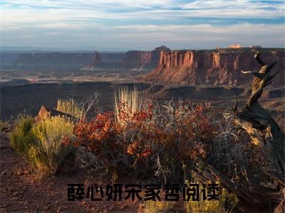 薛心妍宋家哲（薛心妍宋家哲）精彩小说-薛心妍宋家哲小说全文无删减版免费阅读