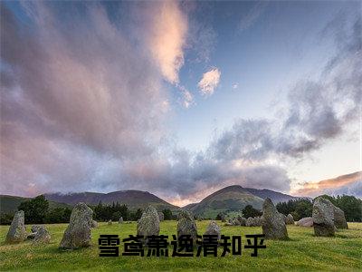 爆款小说《雪鸢萧逸清》主角雪鸢萧逸清全文在线完本阅读