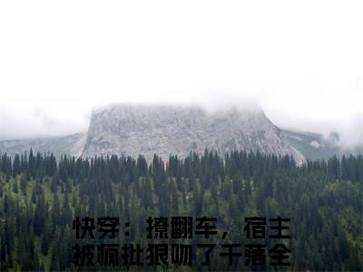 快穿：撩翻车，宿主被疯批狠吻了千落全文(快穿：撩翻车，宿主被疯批狠吻了千落)小说免费阅读无弹窗大结局_ 快穿：撩翻车，宿主被疯批狠吻了千落全文无弹窗完整版阅读