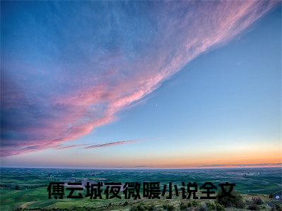 傅云城夜微暖（云城微暖）全文免费阅读_（云城微暖）最新章节列表笔趣阁（云城微暖）