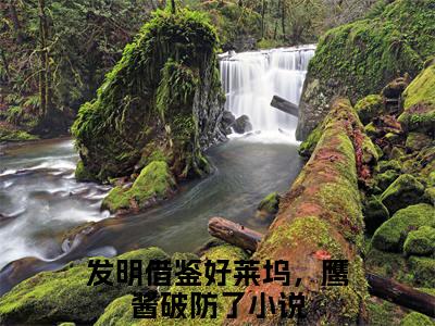 发明借鉴好莱坞，鹰酱破防了（苏阳刘忠）全文无弹窗大结局_发明借鉴好莱坞，鹰酱破防了小说最新章节列表