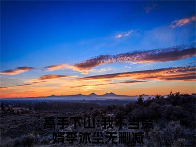 高手下山:我不当赘婿李沐尘近新热推小说-高手下山:我不当赘婿李沐尘完整版在线阅读