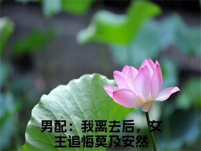 男配：我离去后，女主追悔莫及安然（男配：我离去后，女主追悔莫及安然）全文免费阅读无弹窗大结局_(男配：我离去后，女主追悔莫及安然)最新章节列表_笔趣阁